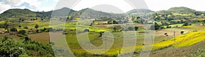 Rice paddies in valley of the Eastern Ghats photo