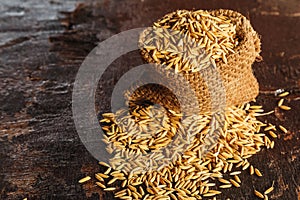 Rice paddy in brown sacks