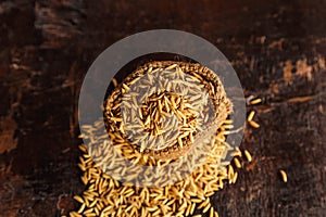 Rice paddy in brown sacks