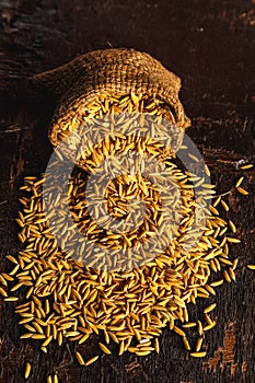 Rice paddy in brown sacks