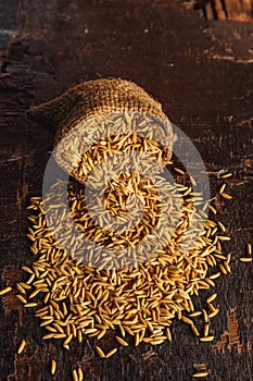 Rice paddy in brown sacks