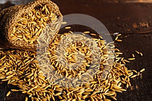 Rice paddy in brown sacks