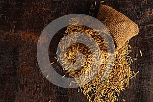 Rice paddy in brown sacks