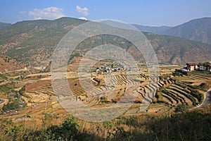 Rice Paddy Landscape with Village, Bhutan