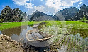 Rice paddy skiff in ninh binh,vietnam photo