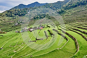 Rice paddy terrace fields Philippines