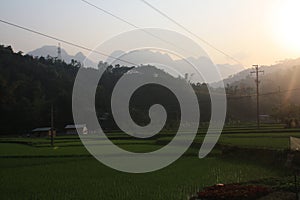 Rice Paddy Terraces by Sunset in Northern Vietnam