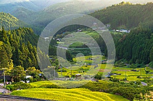 Rice paddy terraces on sunset. Yotsuya, Aichi prefecture, Japan