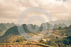 Rice paddys fill this Vietnam scene photo