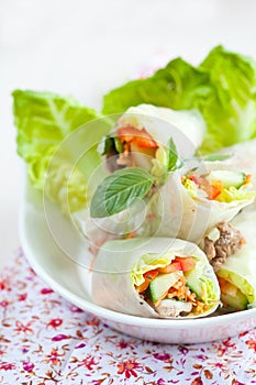 Rice paper springrolls