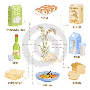 Rice Products Flat Infographics