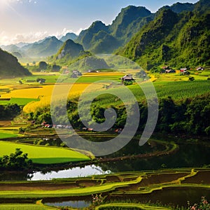 a rice and rice field in Trung Khanh, Vietnam.