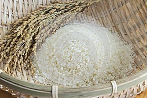 Rice and rice plants in a bamboo basket