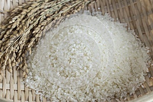 Rice and rice plants in a bamboo basket