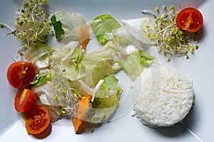 Rice and salad on white plate