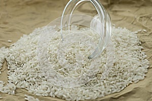 The rice seeds