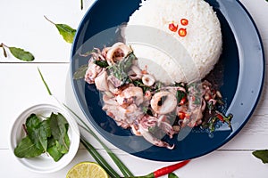 Rice Served with Stir Fried Holy Basil with Squid, Thai Food