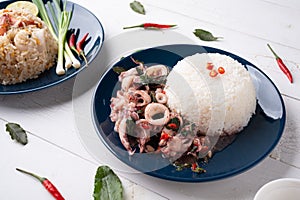 Rice Served with Stir Fried Holy Basil with Squid, Thai Food