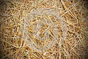 Rice straw background