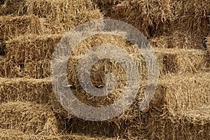 The background image is made from rice straw bales arranged in order to sell.