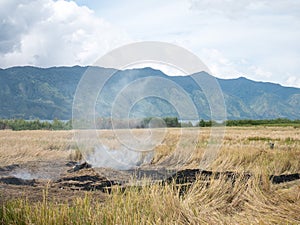 Rice Straw Open Field Burning On Paddy Farms Effected Air Pollutant Emissions