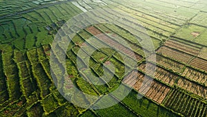 Rice Terrace Aerial Shot. Pictures of beautiful terraced rice fields in the morning when foggy in Lombok