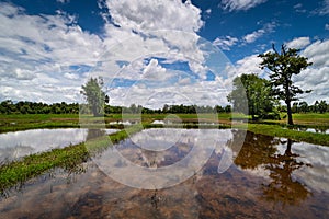 Rice Terrace Cloud Reflection