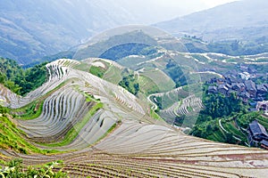 Rice terrace landscape in China