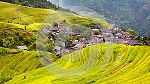 Rice Terrace in Longshen Guilin China