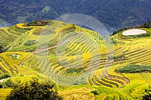 Rice Terrace in Longshen Guilin China