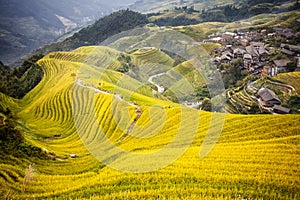 Rice Terrace in Longshen Guilin China