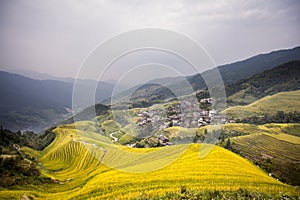 Rice Terrace in Longshen Guilin China