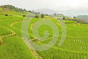 Rice terrace at Pa-pong-peang , Mae Chaem, Chaing Mai ,North Thailand