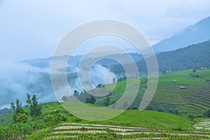 Rice terrace at Pa-pong-peang , Mae Chaem, Chaing Mai ,North Thailand