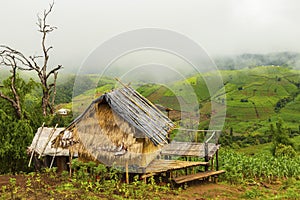 Rice terrace at Pa-pong-peang , Mae Chaem, Chaing Mai ,North Thailand