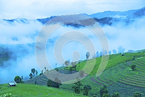 Rice terrace at Pa-pong-peang , Mae Chaem, Chaing Mai ,North Thailand