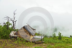 Rice terrace at Pa-pong-peang , Mae Chaem, Chaing Mai ,North Thailand