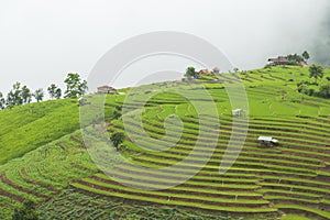 Rice terrace at Pa-pong-peang , Mae Chaem, Chaing Mai ,North Thailand