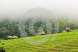 Rice terrace at Pa-pong-peang , Mae Chaem, Chaing Mai ,North Thailand