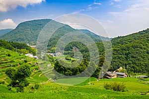 Rice terrace paddy fields, Shodoshima Island, Kagawa, Shikoku, Japan