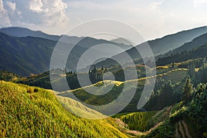 Rice terraced fields Wengjia longji Longsheng