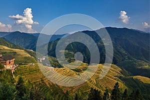 Rice terraced fields Wengjia longji Longsheng Hunan China