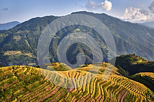 Rice terraced fields Wengjia longji Longsheng Hunan China