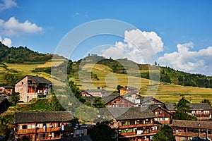 Rice terraced fields Wengjia longji Longsheng Hunan China