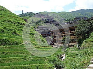 Rice terraced fields Wengjia longji Longsheng Hunan China