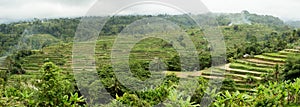 Rice terraced paddy fields in central Bali, Indonesia