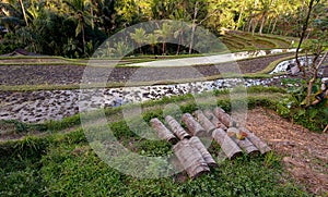 Rice terraced paddy fields in Gunung Kawi, Bali, Indonesia