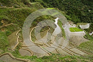 Rice terraces