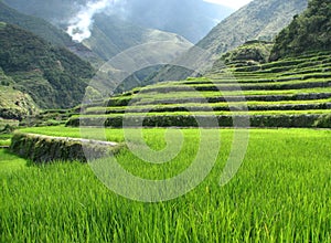 Rice Terraces