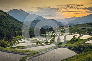 Rice Terraces